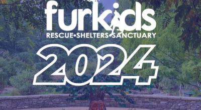 Celebrating a Milestone Year: Furkids 2024 Year in Review Celebrating a Milestone Year: Furkids 2024 Year in Review