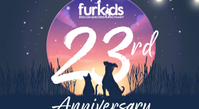 A Better Future for Animals - Furkids 23rd Anniversary Celebration! A Better Future for Animals - Furkids 23rd Anniversary Celebration!