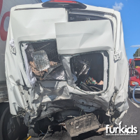 A Week of Heartbreak and Hope: Reflecting on the Furkids Transport Van Accident A Week of Heartbreak and Hope: Reflecting on the Furkids Transport Van Accident