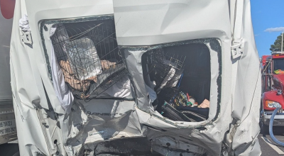 A Week of Heartbreak and Hope: Reflecting on the Furkids Transport Van Accident A Week of Heartbreak and Hope: Reflecting on the Furkids Transport Van Accident